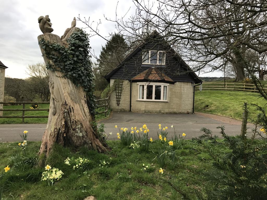 Godshill Park Cottages מראה חיצוני תמונה